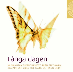 Various - Fånga Dagen ryhmässä CD @ Bengans Skivbutik AB (504410)