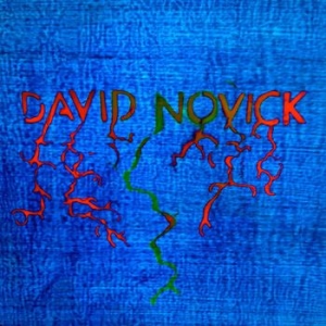 Novick David - David Novick ryhmässä VINYYLI @ Bengans Skivbutik AB (505547)