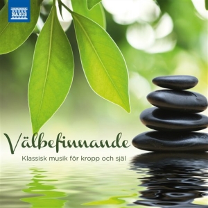 Various - Välbefinnande - Klassisk Musik För ryhmässä CD @ Bengans Skivbutik AB (505578)