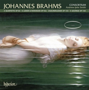 Brahms - Zigeunerlieder ryhmässä CD @ Bengans Skivbutik AB (506583)