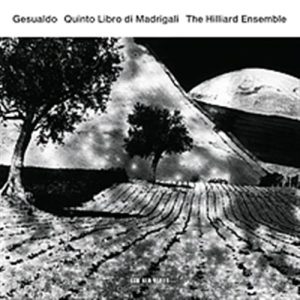 Carlo Gesualdo The Hilliard Ensembl - Quinto Libro Di Madrigali ryhmässä CD @ Bengans Skivbutik AB (506815)