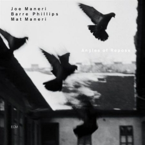 Maneri Joe - Angles Of Repose ryhmässä CD @ Bengans Skivbutik AB (511963)