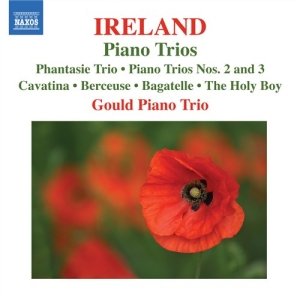 Ireland - Piano Trios ryhmässä ME SUOSITTELEMME / Joululahjavinkki: CD @ Bengans Skivbutik AB (512596)