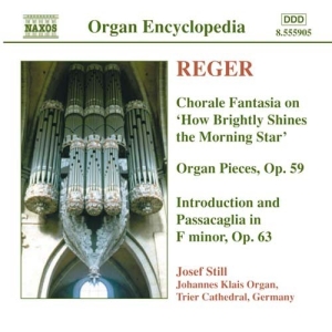 Reger Max - Organ Works Vol 4 ryhmässä ME SUOSITTELEMME / Joululahjavinkki: CD @ Bengans Skivbutik AB (519501)