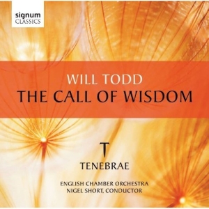 Todd - The Call Of Wisdom ryhmässä ME SUOSITTELEMME / Joululahjavinkki: CD @ Bengans Skivbutik AB (519792)