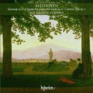 Beethoven - Serenade Op 25/Quintet For Pia ryhmässä CD @ Bengans Skivbutik AB (522388)