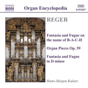 Reger Max - Organ Works Vol 3 ryhmässä CD @ Bengans Skivbutik AB (524727)