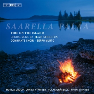 Sibelius - Fire On The Island ryhmässä CD @ Bengans Skivbutik AB (526648)