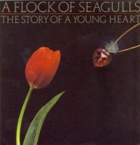 Flock Of Seagulls A - Story Of A Young Heart ryhmässä CD @ Bengans Skivbutik AB (538448)