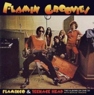 Flamin' Groovies - Flamingo/Teenage Head ryhmässä CD @ Bengans Skivbutik AB (540051)