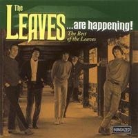 Leaves The - The Leaves...Are Happening! The Bes ryhmässä ME SUOSITTELEMME / Klassiska lablar / Sundazed / Sundazed CD @ Bengans Skivbutik AB (543166)