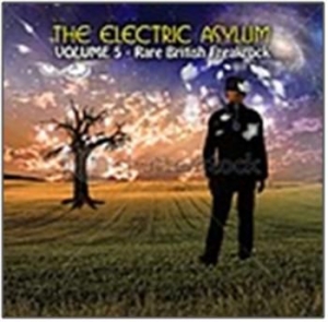 Various Artists - The Electric Asylum Vol 5 ryhmässä CD @ Bengans Skivbutik AB (545422)