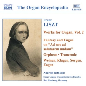 Liszt Franz - Organ Works Vol 2 ryhmässä ME SUOSITTELEMME / Joululahjavinkki: CD @ Bengans Skivbutik AB (546249)