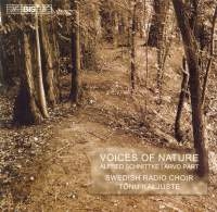 Schnittke/Pärt - Voices Of Nature ryhmässä ME SUOSITTELEMME / Joululahjavinkki: CD @ Bengans Skivbutik AB (547257)