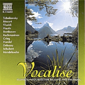 Various - Vocalise ryhmässä ME SUOSITTELEMME / Joululahjavinkki: CD @ Bengans Skivbutik AB (548047)