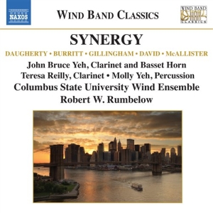 Various Composers - Synergy ryhmässä ME SUOSITTELEMME / Joululahjavinkki: CD @ Bengans Skivbutik AB (549040)