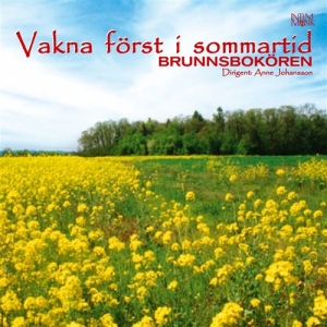 Brunnsbokören - Vakna Först I Sommartid ryhmässä CD @ Bengans Skivbutik AB (549233)