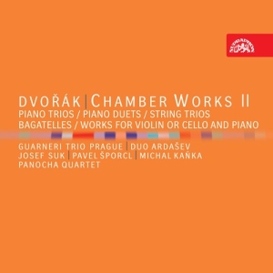 Dvorák Antonín - Chamber Works Ii (7 Cd) ryhmässä CD @ Bengans Skivbutik AB (5503078)