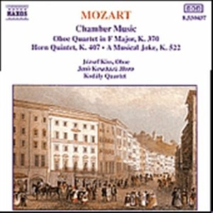 Mozart Wolfgang Amadeus - Chamber Music ryhmässä ME SUOSITTELEMME / Joululahjavinkki: CD @ Bengans Skivbutik AB (5503215)