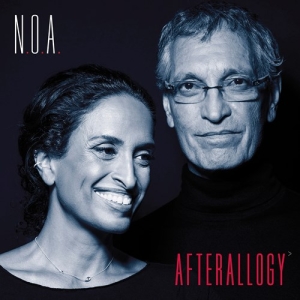 Noa Dor Gil - Afterallogy (Lp) ryhmässä VINYYLI @ Bengans Skivbutik AB (5503504)