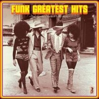 Various Artists - Funk Greatest Hits ryhmässä VINYYLI @ Bengans Skivbutik AB (5505946)