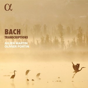 Bach Johann Sebastian - Transcriptions ryhmässä CD @ Bengans Skivbutik AB (5506032)