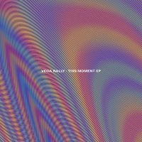 Vega Rally - This Moment Ep (Indie Exclusive, Or ryhmässä VINYYLI @ Bengans Skivbutik AB (5506795)