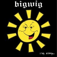 Bigwig - Stay Asleep ryhmässä VINYYLI @ Bengans Skivbutik AB (5507453)