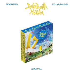 Seventeen - Seventeen 11Th Mini Album 'Seventee ryhmässä CD @ Bengans Skivbutik AB (5507836)