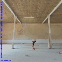 Torres - What An Enormous Room (Ltd Blue & W ryhmässä VINYYLI @ Bengans Skivbutik AB (5507847)