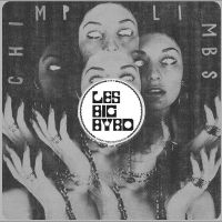 Les Big Byrd - Remixes, Rarieties & Unreleased ryhmässä VINYYLI @ Bengans Skivbutik AB (5508369)