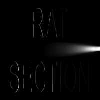 Rat Section - What Stays In Vegas ryhmässä CD @ Bengans Skivbutik AB (5508563)