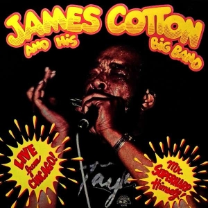 James Cotton & His Big Band - Live In Chicago - Mr. Superharp ryhmässä VINYYLI @ Bengans Skivbutik AB (5508820)