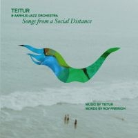 Teitur & Aarhus Jazz Orchestra - Songs From A Social Distance ryhmässä VINYYLI @ Bengans Skivbutik AB (5509291)