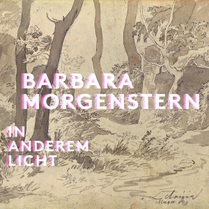 Barbara Morgenstern - In Anderem Licht ryhmässä VINYYLI @ Bengans Skivbutik AB (5509665)