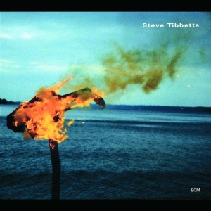 Tibbetts Steve - A Man About A Horse ryhmässä CD @ Bengans Skivbutik AB (5509840)