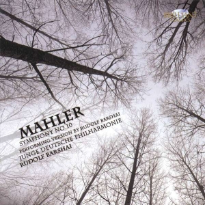 Mahler - Mahler: Symphony No. 10 ryhmässä CD @ Bengans Skivbutik AB (5509883)