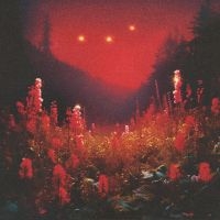 Silent Planet - Superbloom ryhmässä VINYYLI @ Bengans Skivbutik AB (5509939)