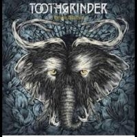 Toothgrinder - Nocturnal Masquerade ryhmässä VINYYLI @ Bengans Skivbutik AB (5510495)