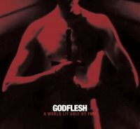 Godflesh - A World Only Lit By Fire (White Vin ryhmässä VINYYLI @ Bengans Skivbutik AB (5510568)