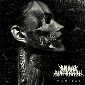 Anaal Nathrakh - Vanitas ryhmässä VINYYLI @ Bengans Skivbutik AB (5510639)