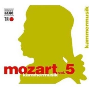 Mozart W A - Edition, Vol. 5 - Chamber Music ryhmässä CD @ Bengans Skivbutik AB (5510663)