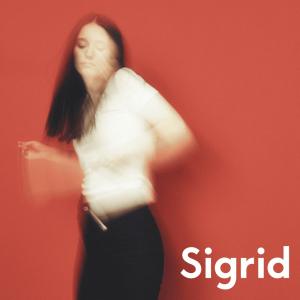 Sigrid - The Hype ryhmässä Minishops / Sigrid @ Bengans Skivbutik AB (5510685)