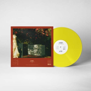 Casey - How To Disappear (Transparent Yello ryhmässä VINYYLI @ Bengans Skivbutik AB (5511302)