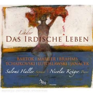 Salome Haller - Earthly Life - Lieder ryhmässä ME SUOSITTELEMME / Joululahjavinkki: CD @ Bengans Skivbutik AB (5511473)