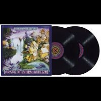 Ozric Tentacles - Waterfall Cities ryhmässä VINYYLI @ Bengans Skivbutik AB (5511952)