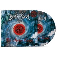 Borknagar - Archaic Course The (Picture Disc Vi ryhmässä VINYYLI @ Bengans Skivbutik AB (5512133)