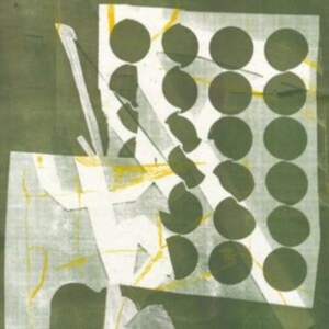 Raymond Zander - To Have Several Lives (Green Vinyl) ryhmässä VINYYLI @ Bengans Skivbutik AB (5512527)