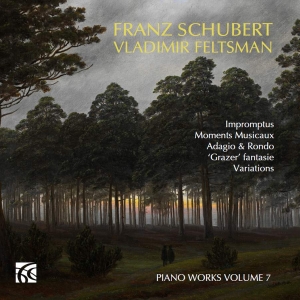 Schubert Franz - Piano Works, Vol. 7 ryhmässä CD @ Bengans Skivbutik AB (5512707)