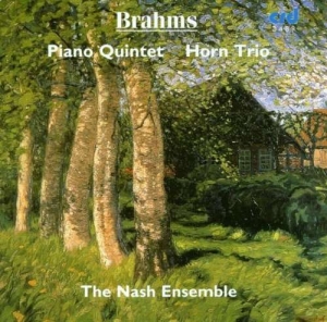 Brahms Johannes - Piano Quintet In F Minor Op.34 / Ho ryhmässä Musiikki / CD-R / Klassiskt @ Bengans Skivbutik AB (5514254)